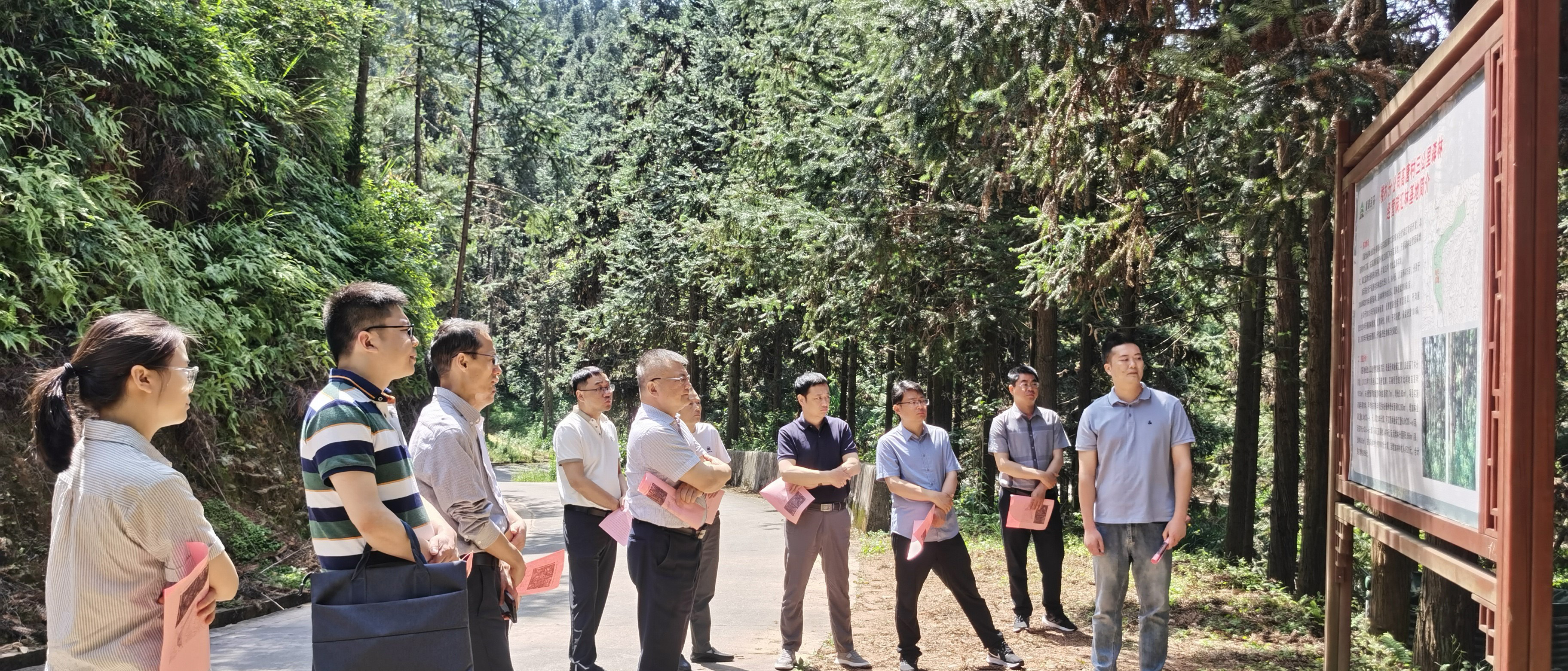 安徽省宣城市林業(yè)局赴福建金森參觀碳匯林建設