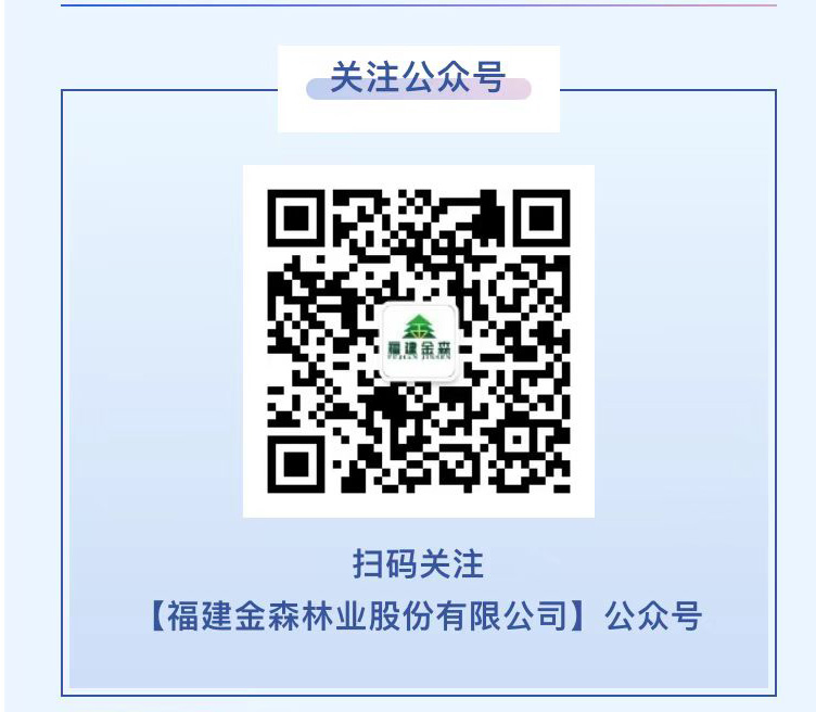 福建金森公眾號“投資者關(guān)系”專欄正式上線