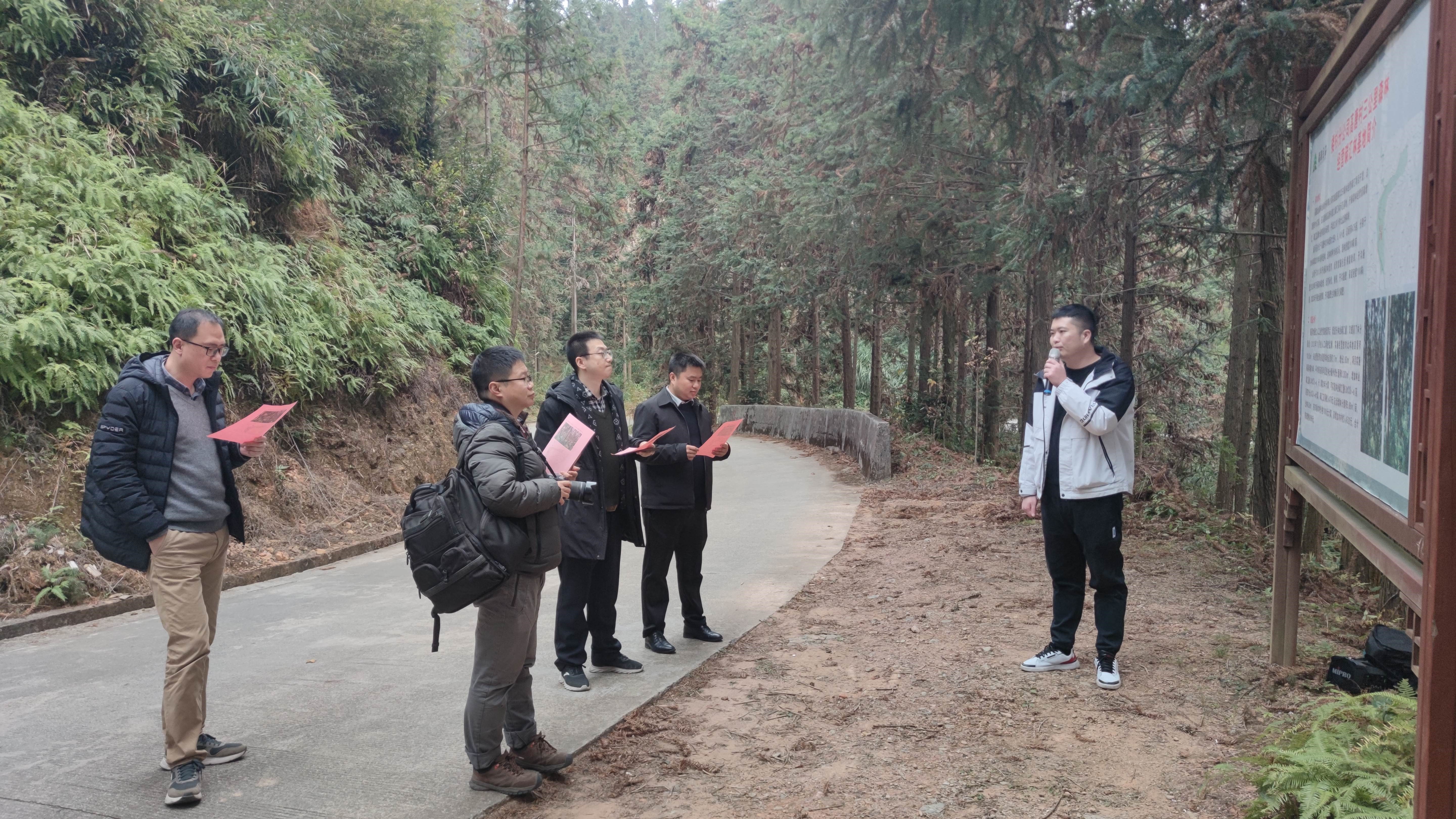 福建金森與上海園林集團(tuán)——強(qiáng)強(qiáng)交流促合作，共繪林改新藍(lán)圖