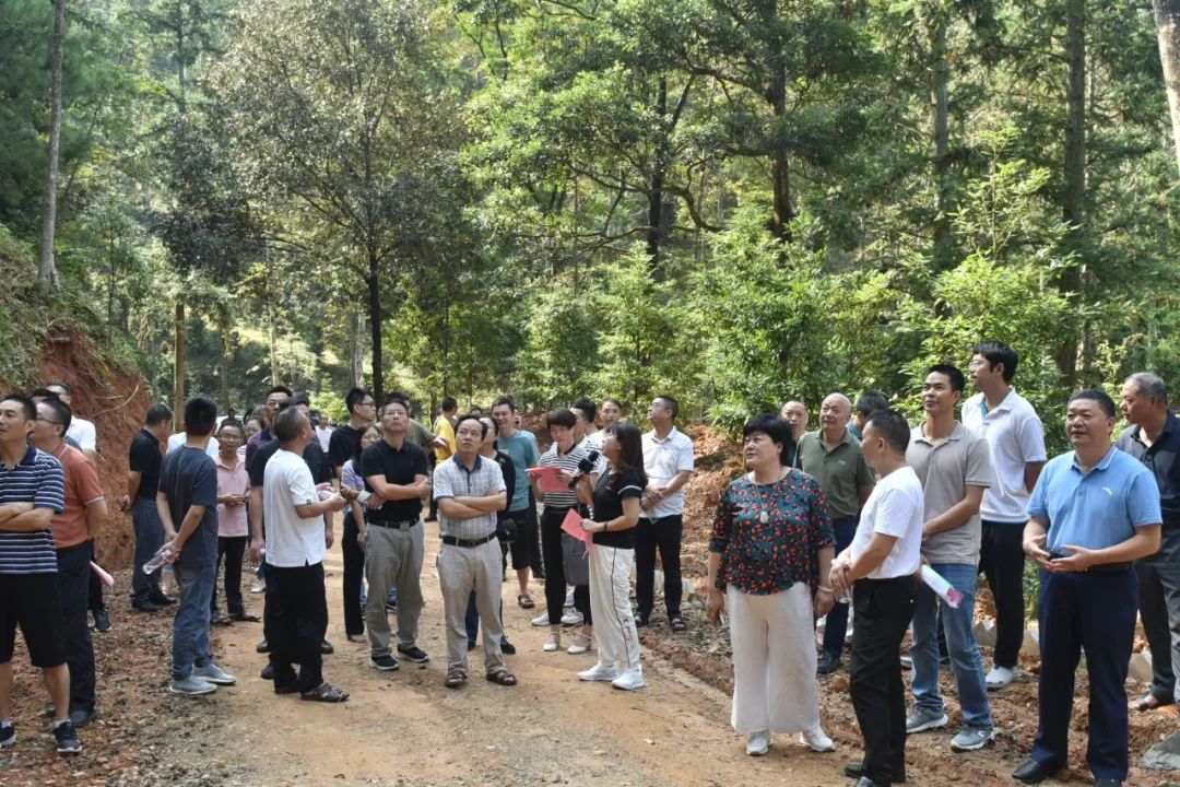 琵琶丘工區(qū):三明市森林質(zhì)量精準提升工程業(yè)務(wù)培訓(xùn)現(xiàn)場示范 琵琶丘工區(qū):三明市森林質(zhì)量精準提升工程業(yè)務(wù)培訓(xùn)現(xiàn)場示范