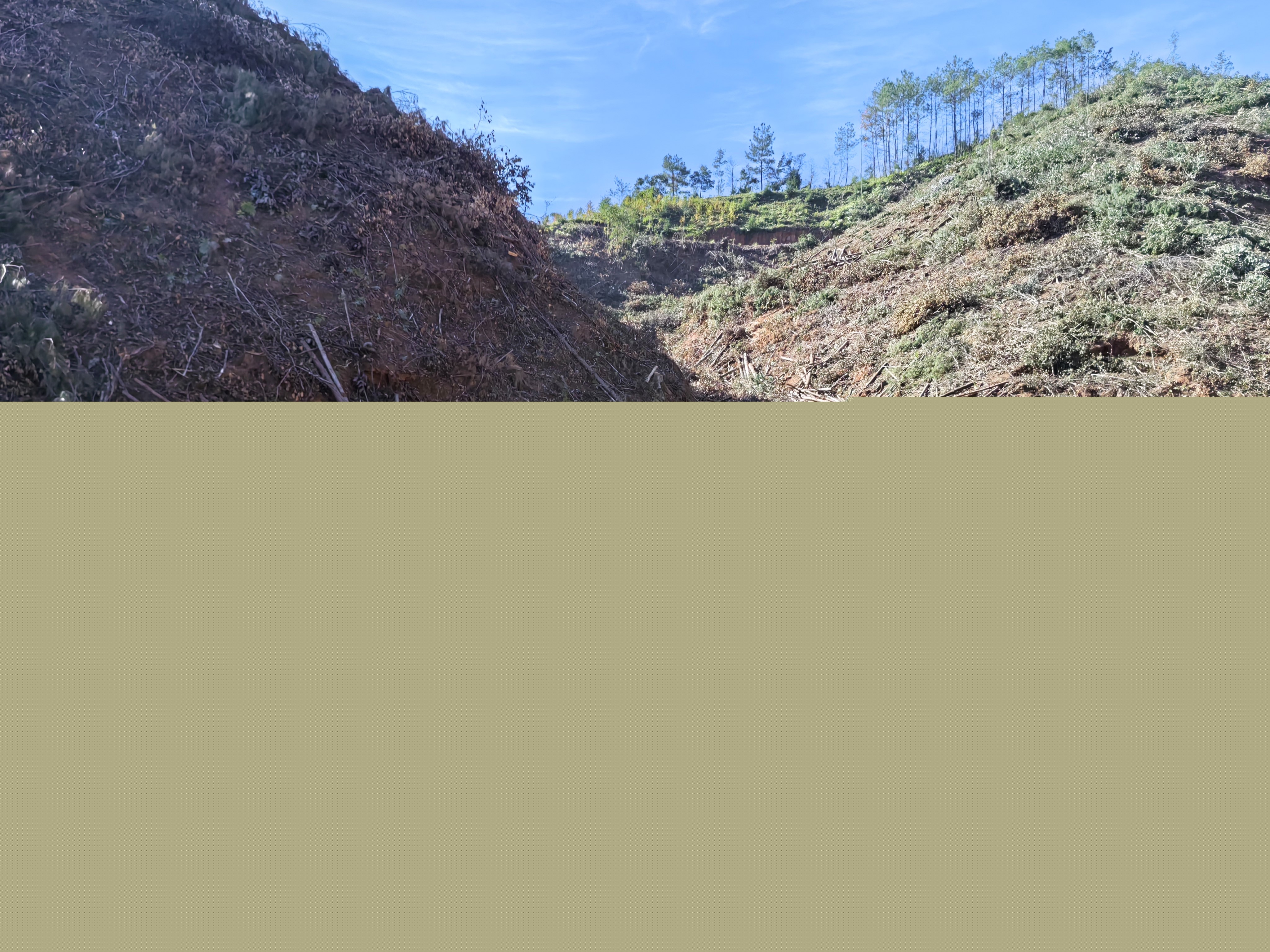 平安常青，我們?cè)谛袆?dòng)——常青分公司開展安全生產(chǎn)日活動(dòng)