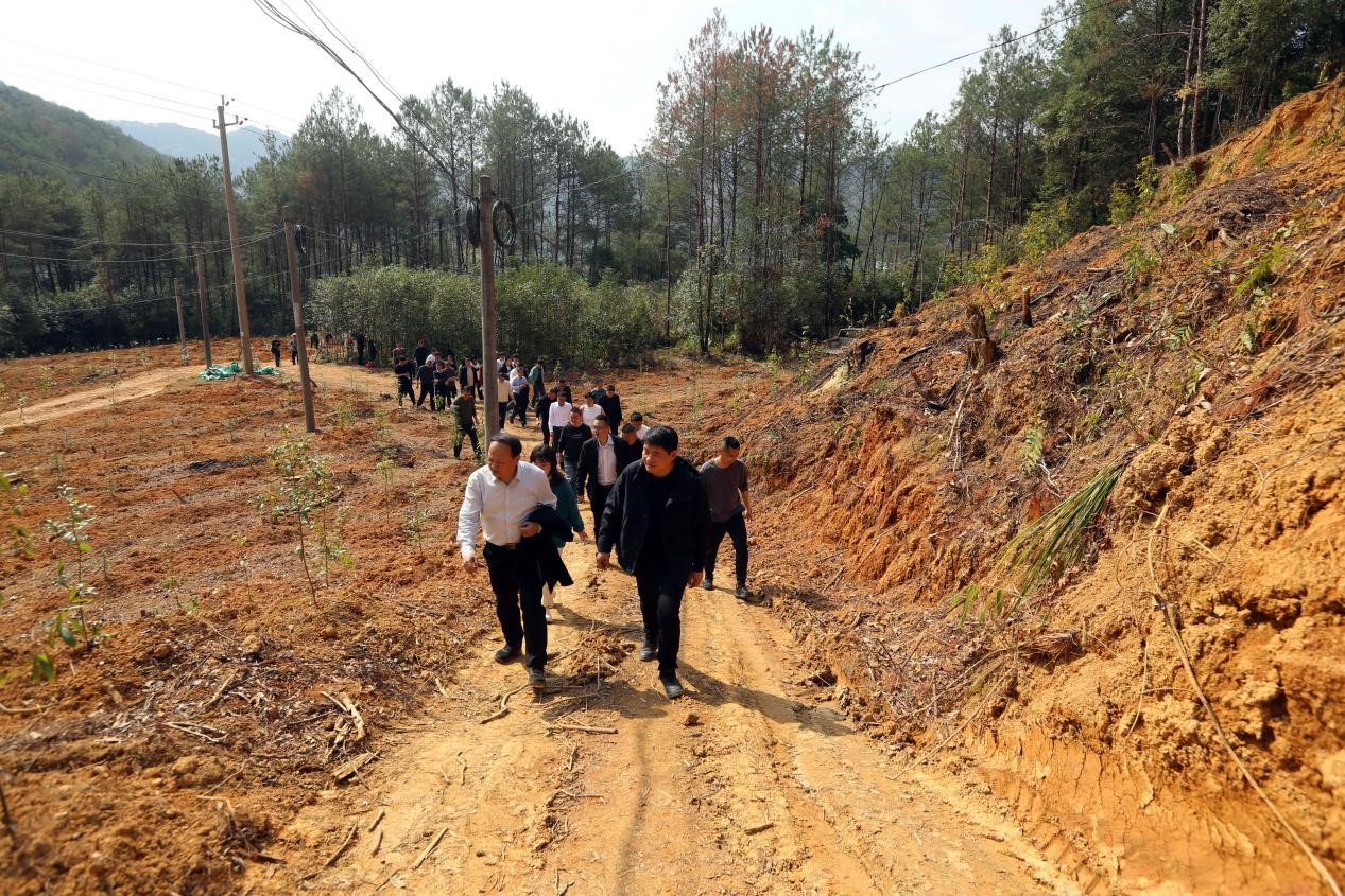 不負春光好，搶播萬畝林 ——將樂縣村企合作造林工作現(xiàn)場會在福建金森召開